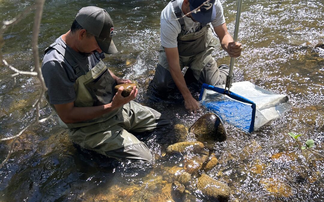 The Many Paths to Careers in Natural Resource Conservation
